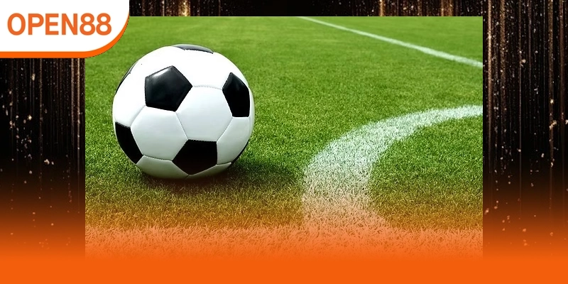 Phù hợp người yêu bóng đá thích phân tích sâu